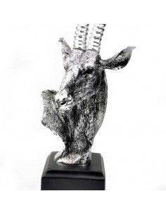 TROFEO DE ORIX 45x18 2