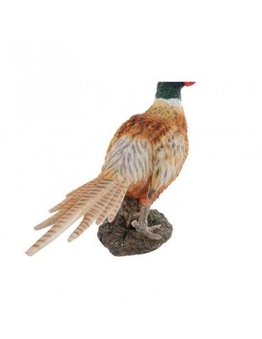 FIGURA FAISAN 34x50.5