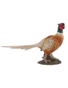 FIGURA FAISAN 34x50.5