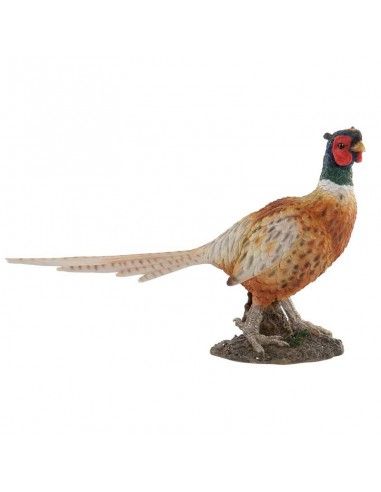 FIGURA FAISAN 34x50.5