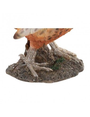FIGURA FAISAN 34x50.5