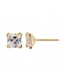 PENDIENTES CIRCONITA GARRA...