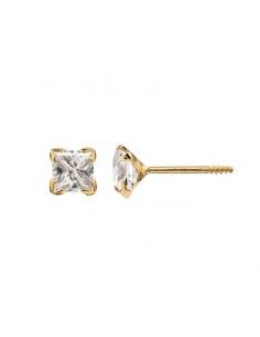 PENDIENTES CIRCONITA GARRA...