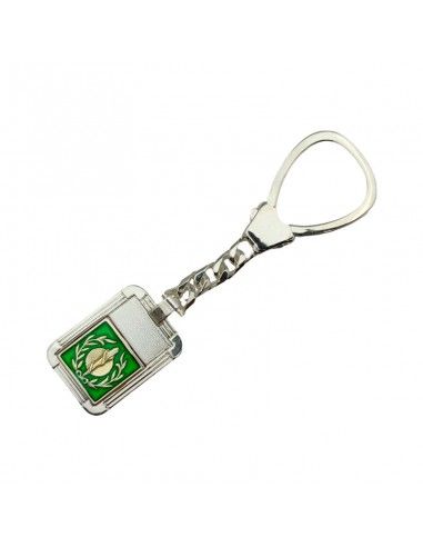 LLAVERO DE  PLATA CON INSIGNIA MEDICINA