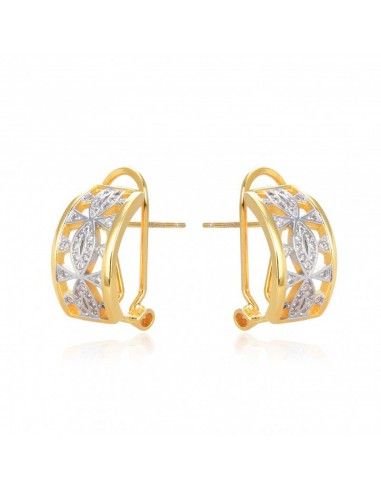PENDIENTES BICOLOR CIRCONITAS