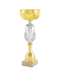 TROFEO COPA BICOLOR