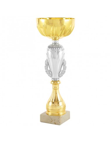 TROFEO COPA BICOLOR