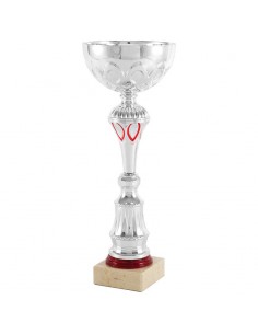 TROFEO COPA PLATA DETALLES...