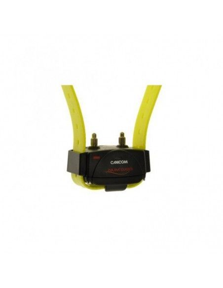 COLLAR ADICIONAL EXPERT PARA PERROS