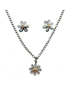 CONJUNTO DE PENDIENTES Y...