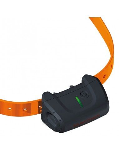 Canicom 5.800 collar adiestramiento perro