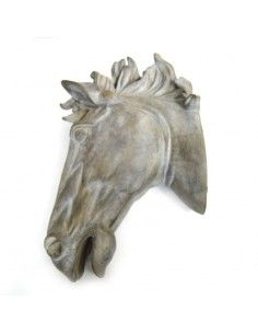 CABEZA DE CABALLO