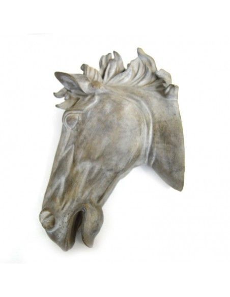 CABEZA DE CABALLO