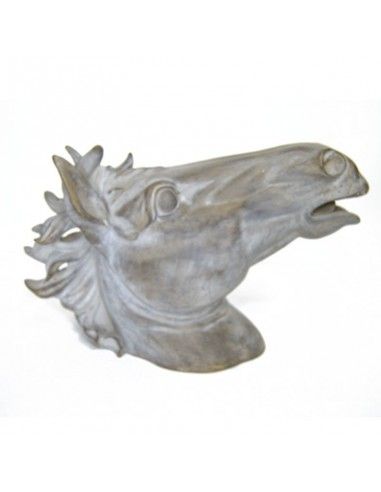 CABEZA DE CABALLO