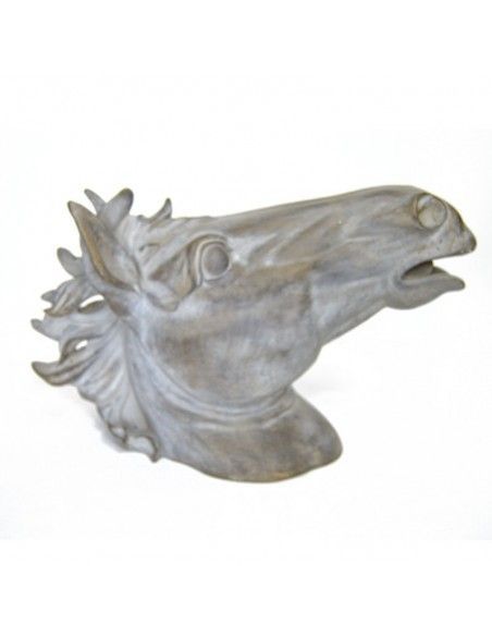CABEZA DE CABALLO
